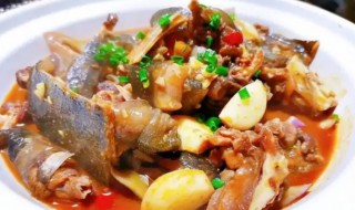 甲鱼要煮几分钟才能熟 甲鱼煮多久才能熟