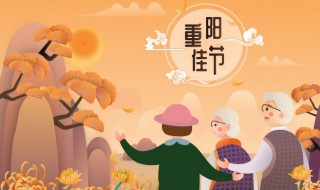 9月9日是什么节日（9月9日是什么节日有什么风俗）