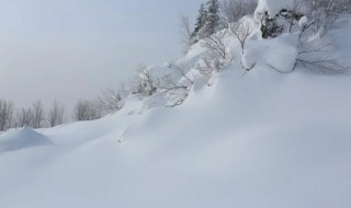 东北雪乡自助游（东北雪乡自由行行程）