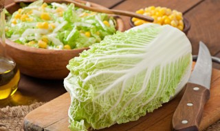 豆腐炖白菜怎么做好吃(豆腐炖白菜怎样做好吃)