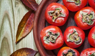 晒干柿子怎么做包子（柿子可以做包子吗）