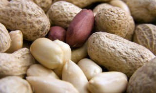 煮花生可以放冰箱吗 煮熟的花生需要放冰箱吗