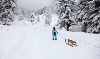 冰雪寄语为主题写一封信