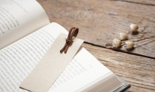 motor是什么意思（电机上motor是什么意思）