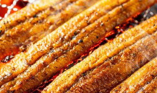 怎么做鱼好吃视频教程（鱼怎样做好吃家常做法视频）