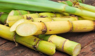 甘蔗煮几分钟才熟（甘蔗煮水需要煮多久）