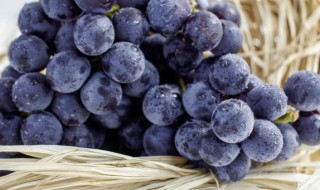 夏黑葡萄的皮难剥是这样吗 夏黑葡萄容易去皮吗