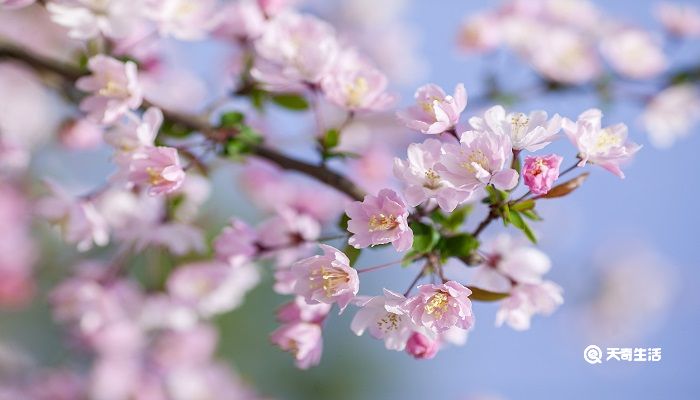 风定花犹落鸟鸣山更幽的哲学道理