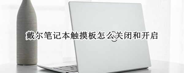 戴尔笔记本触摸板怎么关闭和开启 戴尔笔记本触摸板怎么关闭和开启快捷键