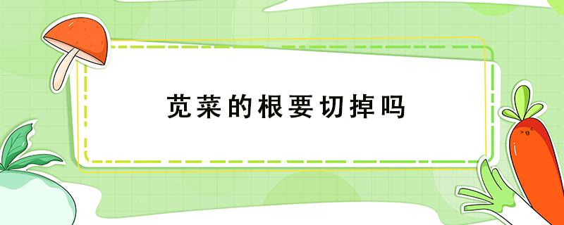 苋菜的根要切掉吗 切下的苋菜根可以再种