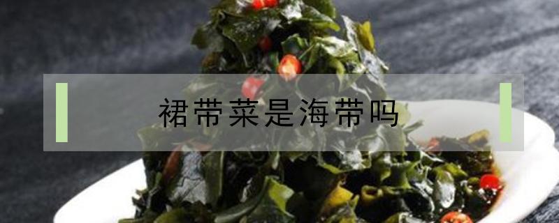 裙带菜是海带吗 裙带菜是海带吗?含碘吗