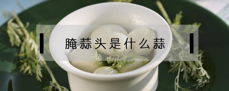 腌蒜头是什么蒜（腌蒜头用什么蒜头）