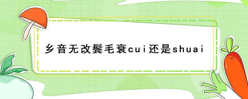 乡音无改鬓毛衰cui还是shuai（乡音无改鬓毛衰cui还是shuai教育部）