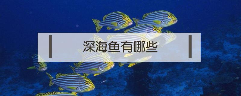 深海鱼有哪些（深海鱼有哪些适合孩子吃）