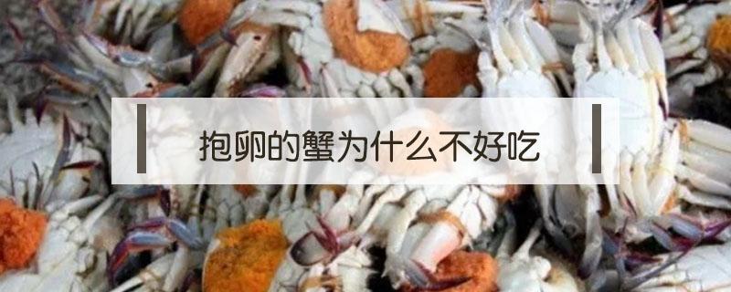 抱卵的蟹为什么不好吃 抱卵蟹怎么吃