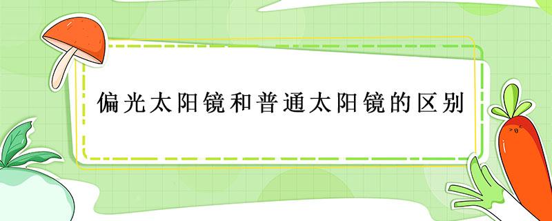 偏光太阳镜和普通太阳镜的区别（太阳镜品牌排行榜前十名）