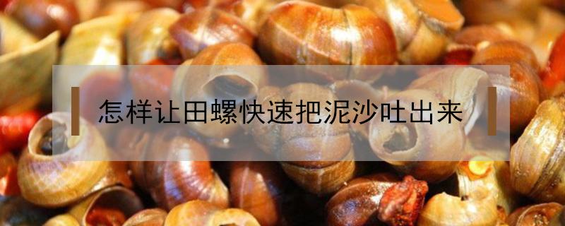 怎样让田螺快速把泥沙吐出来 怎样才能让田螺快速把泥土吐干净