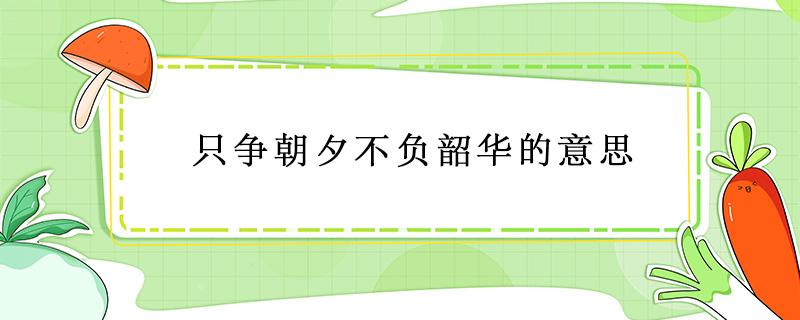 只争朝夕不负韶华的意思 只争朝夕不负韶华