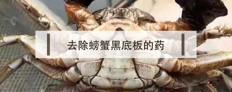 去除螃蟹黑底板的药（螃蟹黑用什么药能洗干净）