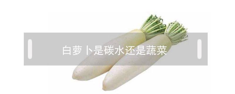 白萝卜是碳水还是蔬菜（白萝卜属于蔬菜还是碳水）