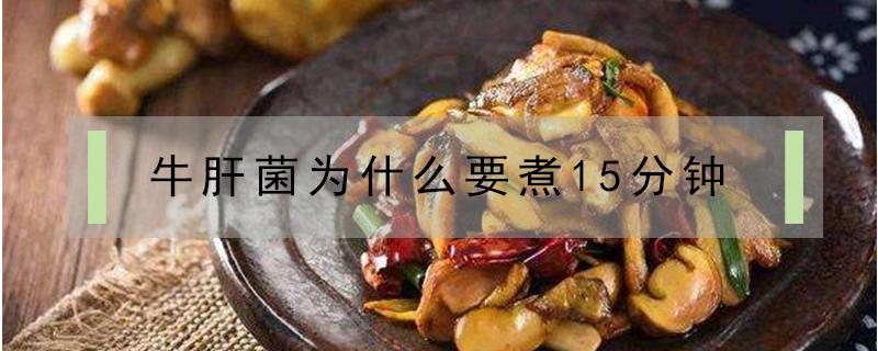 牛肝菌为什么要煮15分钟 牛肝菌煮几分钟