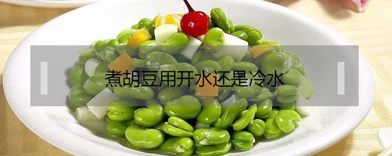 煮胡豆用开水还是冷水（胡豆用冷水煮还是开水煮）