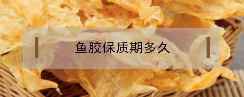 鱼胶保质期多久 即食鱼胶保质期多久