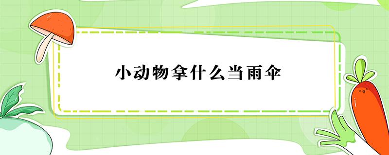 小动物拿什么当雨伞 小动物拿什么当雨伞作文