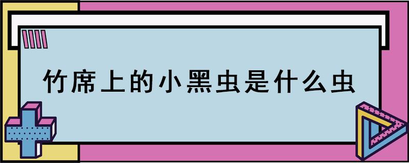 竹席上的小黑虫是什么虫（席子上面有好小的黑虫）