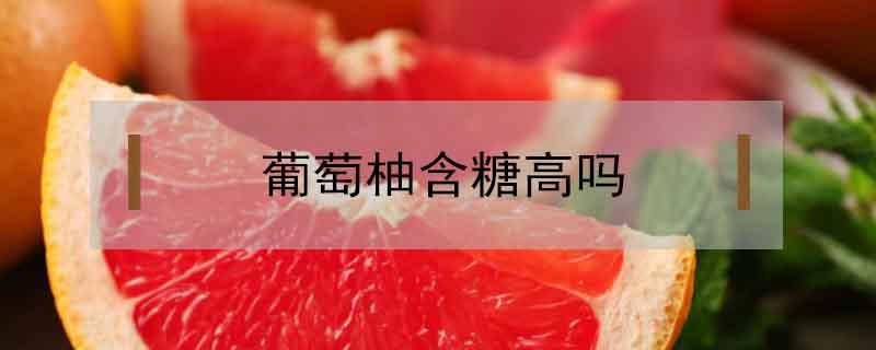 葡萄柚含糖高吗 葡萄柚含糖分高吗