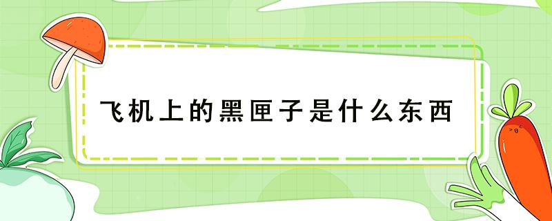 飞机上的黑匣子是什么东西（飞机上的黑匣子是什么东西,为什么不会与飞机一起损坏）