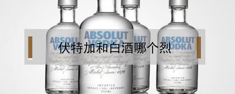 伏特加和白酒哪个烈（伏特加和中国白酒哪个烈）