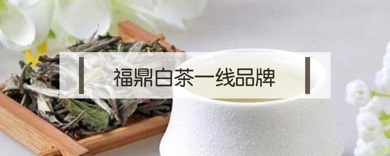 福鼎白茶一线品牌（福鼎白茶知名品牌）