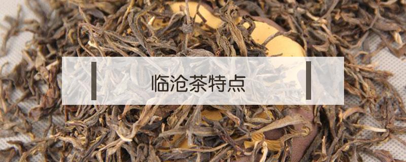 临沧茶特点（临沧茶特点介绍）