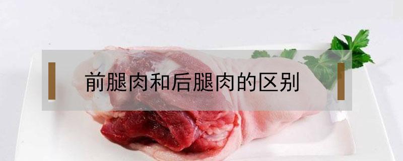 前腿肉和后腿肉的区别 前腿肉和后腿肉的区别图片