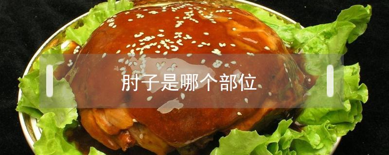 肘子是哪个部位（人的肘子是哪个部位）