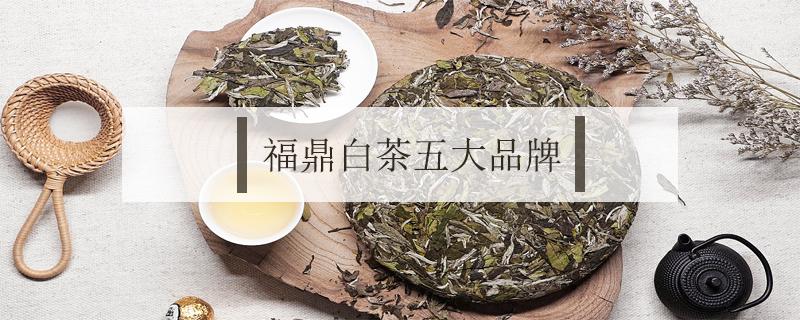 福鼎白茶五大品牌（福鼎白茶十大知名品牌）