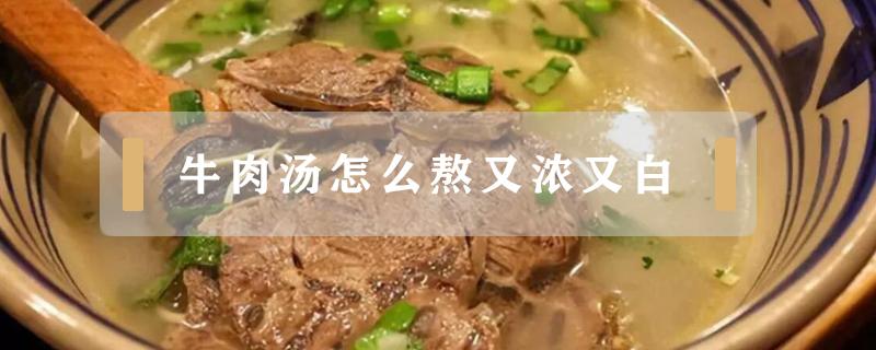 牛肉汤怎么熬又浓又白（牛肉汤怎么做汤才浓白）