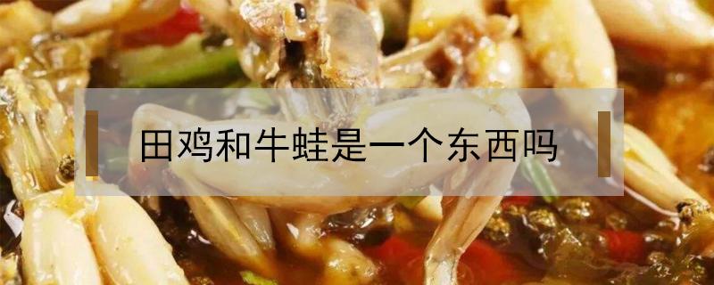 田鸡和牛蛙是一个东西吗（牛蛙跟田鸡是不是一个东西）