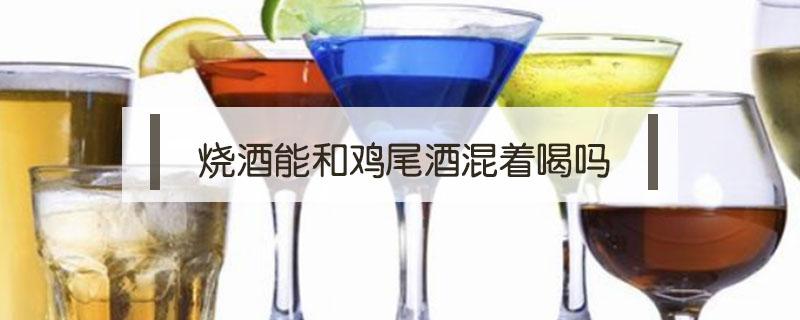 烧酒能和鸡尾酒混着喝吗（鸡尾酒能混合喝吗）