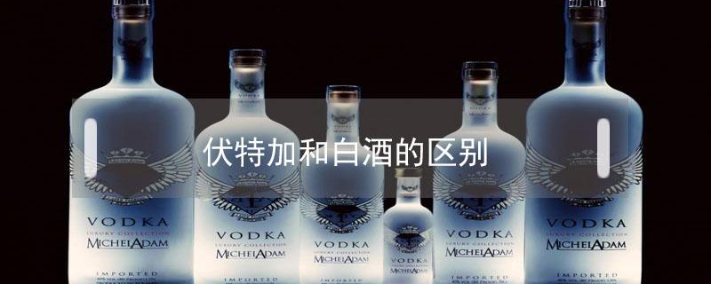 伏特加和白酒的区别（伏特加和中国白酒的区别）