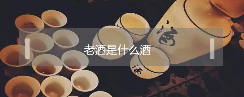 老酒是什么酒（石库门上海老酒是什么酒）