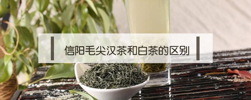 信阳毛尖汉茶和白茶的区别 信阳毛尖和白茶哪个好喝