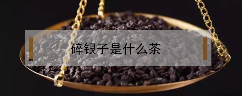 碎银子是什么茶（碎银子是什么茶有哪些功效）