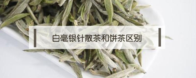 白毫银针散茶和饼茶区别 白毫银针有饼茶吗