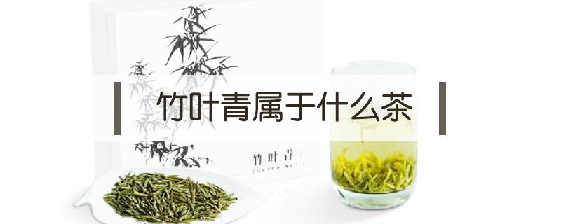 竹叶青属于什么茶（竹叶青属于什么茶类）