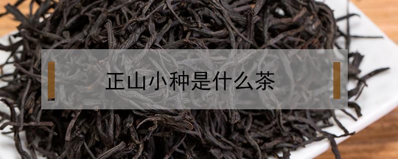 正山小种是什么茶 金骏眉