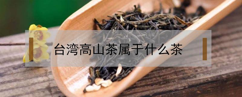 台湾高山茶属于什么茶（台湾高山茶属于什么茶种）