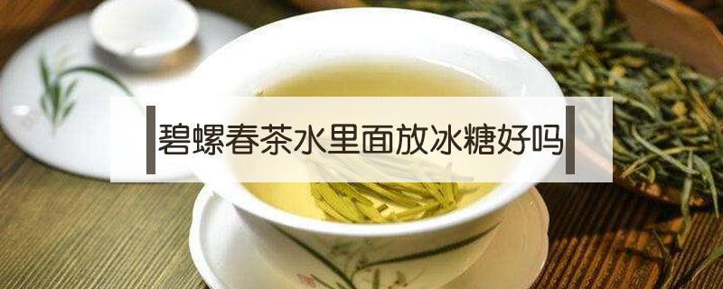 碧螺春茶水里面放冰糖好吗（碧螺春茶能放冰糖吗）