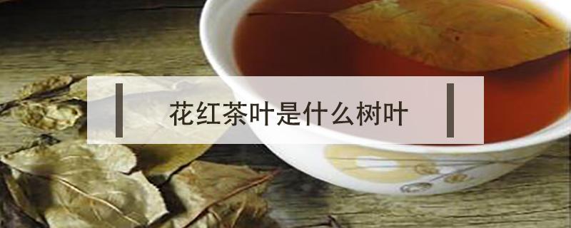 花红茶叶是什么树叶（花茶是什么树的叶子）